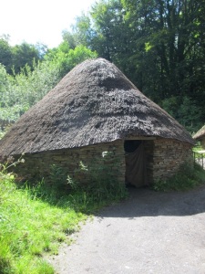 Celtic Village House